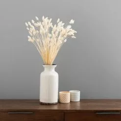 Dunelm Dried Bleached Phalaris Bundle