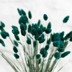 Dunelm Teal Dried Phalaris Bundle -clocks Sales Store 30747116 alt02