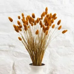 Dunelm Dried Ochre Phalaris Bundle 10 Dunelm Dried Ochre Phalaris Bundle -clocks Sales Store 30747117 alt04