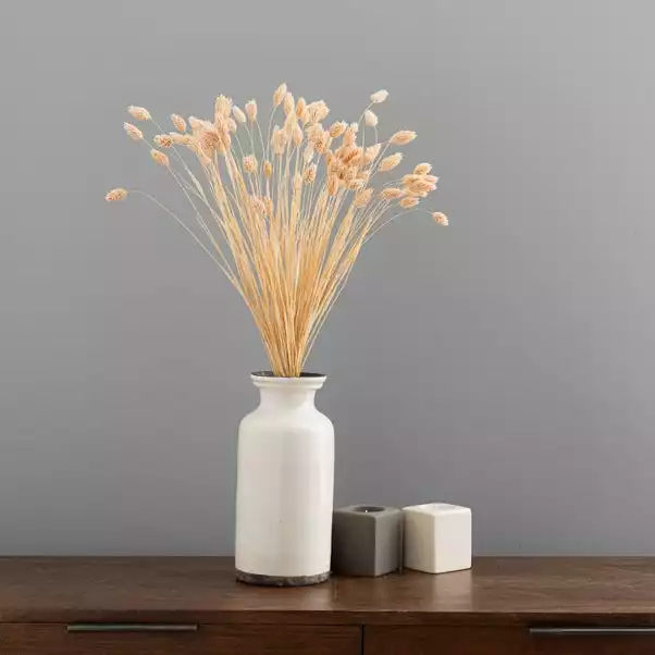 Dunelm Dried Pink Phalaris Bundle 1 Dunelm Dried Pink Phalaris Bundle