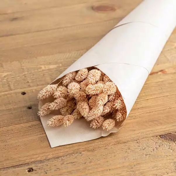 Dunelm Dried Pink Phalaris Bundle 2 Dunelm Dried Pink Phalaris Bundle - Image 2