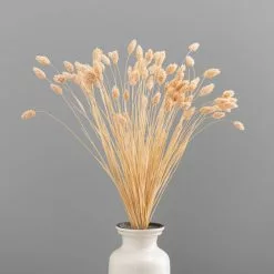Dunelm Dried Pink Phalaris Bundle 9 Dunelm Dried Pink Phalaris Bundle -clocks Sales Store 30747118 alt03