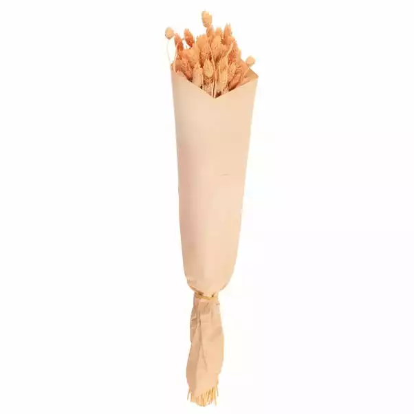 Dunelm Dried Pink Phalaris Bundle 6 Dunelm Dried Pink Phalaris Bundle - Image 6