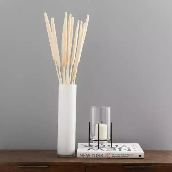 Dunelm 10 Dried Babala Stems Bleached Bundle 1 Dunelm 10 Dried Babala Stems Bleached Bundle