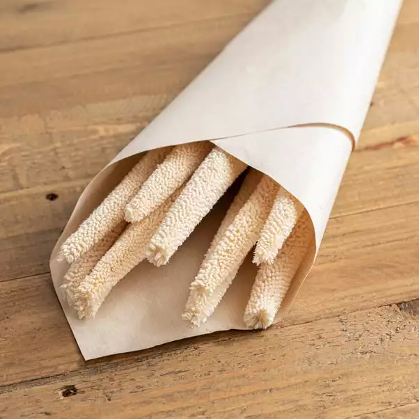 Dunelm 10 Dried Babala Stems Bleached Bundle 2 Dunelm 10 Dried Babala Stems Bleached Bundle - Image 2