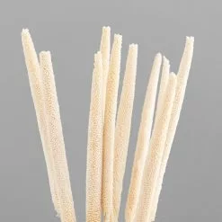 Dunelm 10 Dried Babala Stems Bleached Bundle 7 Dunelm 10 Dried Babala Stems Bleached Bundle -clocks Sales Store 30747119 alt02