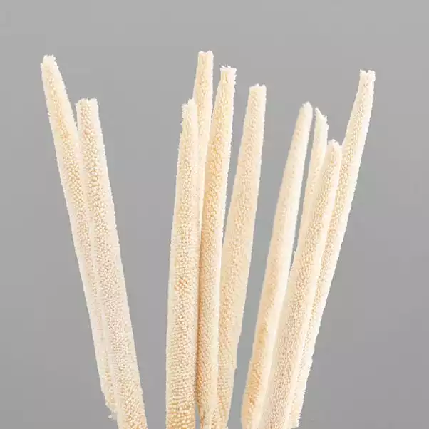 Dunelm 10 Dried Babala Stems Bleached Bundle 3 Dunelm 10 Dried Babala Stems Bleached Bundle - Image 3