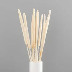 Dunelm 10 Dried Babala Stems Bleached Bundle 8 Dunelm 10 Dried Babala Stems Bleached Bundle -clocks Sales Store 30747119 alt03