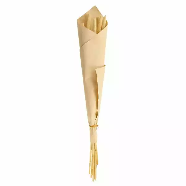 Dunelm 10 Dried Babala Stems Bleached Bundle 5 Dunelm 10 Dried Babala Stems Bleached Bundle - Image 5