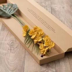 Dunelm Phalaenopsis And Palm Letterbox Bouquet 9 Dunelm Phalaenopsis And Palm Letterbox Bouquet -clocks Sales Store 30748809 alt03