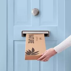 Dunelm Thistle Berry And Eucalyptus Letterbox Bouquet -clocks Sales Store 30748822 alt04