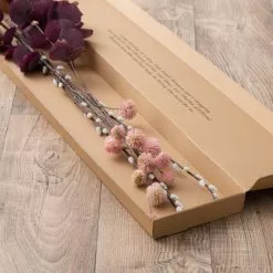 Dunelm Eucalyptus Willow And Chestnut Letterbox Bouquet -clocks Sales Store 30748823 alt03