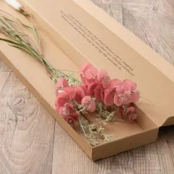 Dunelm Eucalyptus Foxtail And Fern Letterbox Bouquet -clocks Sales Store 30748825 alt03