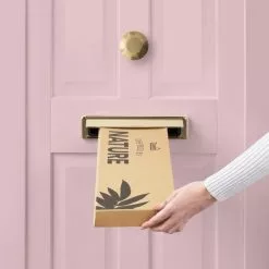 Dunelm Eucalyptus Foxtail And Fern Letterbox Bouquet -clocks Sales Store 30748825 alt04