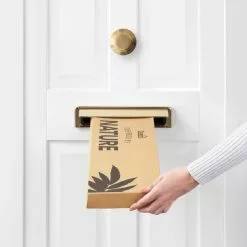 Dunelm Mimosa And Foliage Letterbox Bouquet -clocks Sales Store 30748827 alt04