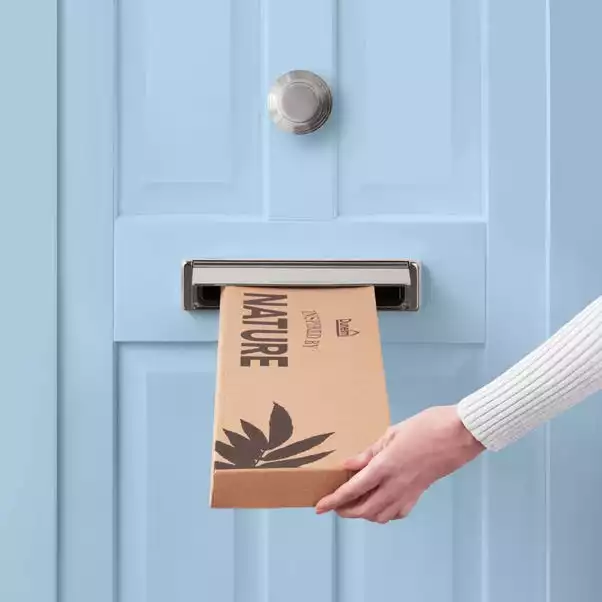 Dunelm Lagarus Rice And Leaf Letterbox Bouquet 5 Dunelm Lagarus Rice And Leaf Letterbox Bouquet - Image 5