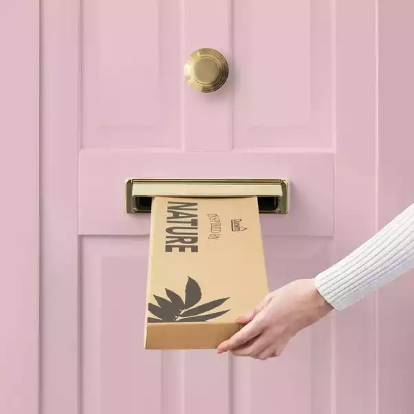 Dunelm Ranunculus And Fern Letterbox Bouquet 5 Dunelm Ranunculus And Fern Letterbox Bouquet - Image 5