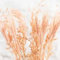 Dunelm Pink Dried Bouquet 8 Dunelm Pink Dried Bouquet -clocks Sales Store 30748834 alt02