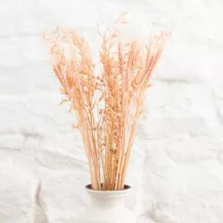 Dunelm Pink Dried Bouquet 9 Dunelm Pink Dried Bouquet -clocks Sales Store 30748834 alt03