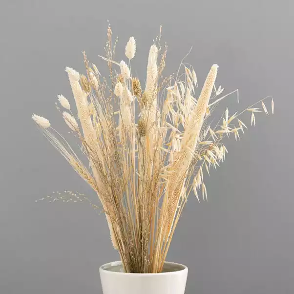 Dunelm Natural And Bleached Mixed Dried Bouquet 4 Dunelm Natural And Bleached Mixed Dried Bouquet - Image 4