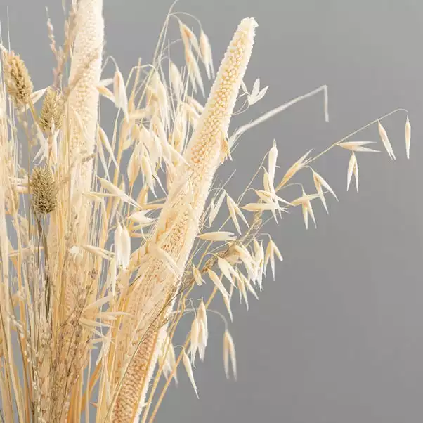 Dunelm Natural And Bleached Mixed Dried Bouquet 5 Dunelm Natural And Bleached Mixed Dried Bouquet - Image 5