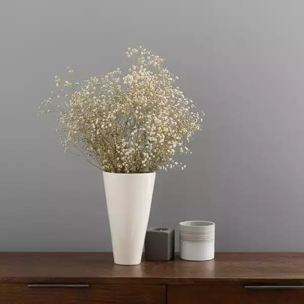 Dunelm Dried White Gypsophila Bundle 1 Dunelm Dried White Gypsophila Bundle
