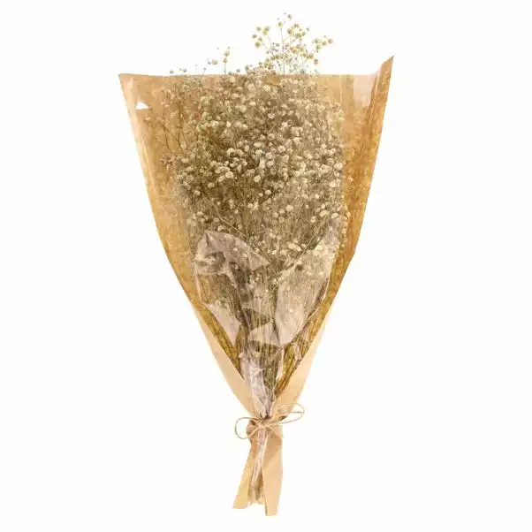 Dunelm Dried White Gypsophila Bundle 5 Dunelm Dried White Gypsophila Bundle - Image 5