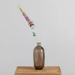 Dunelm Purple Obedient Plant 77cm