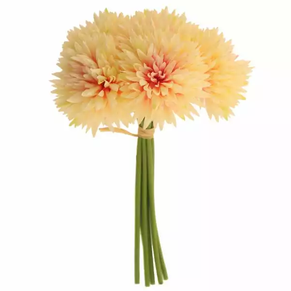Dunelm Cream Spiky Chrysanthemum Bundle 4 Dunelm Cream Spiky Chrysanthemum Bundle - Image 4