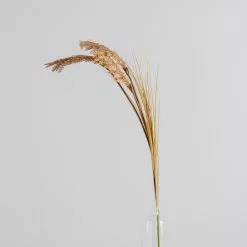 Dunelm Tall Natural Seeded Grass 128cm