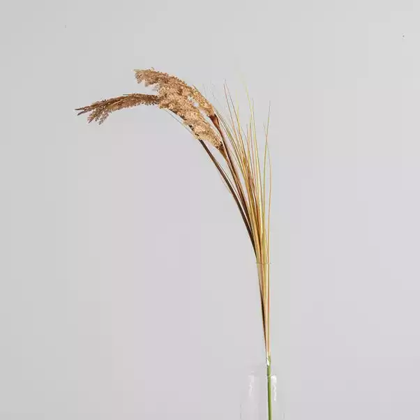 Dunelm Tall Natural Seeded Grass 128cm 1 Dunelm Tall Natural Seeded Grass 128cm