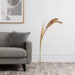 Dunelm Tall Natural Seeded Grass 128cm 6 Dunelm Tall Natural Seeded Grass 128cm -clocks Sales Store 30749015 alt02