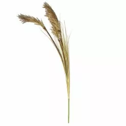 Dunelm Tall Natural Seeded Grass 128cm 7 Dunelm Tall Natural Seeded Grass 128cm -clocks Sales Store 30749015 alt04