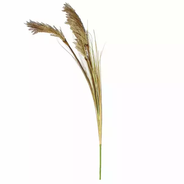 Dunelm Tall Natural Seeded Grass 128cm 4 Dunelm Tall Natural Seeded Grass 128cm - Image 4