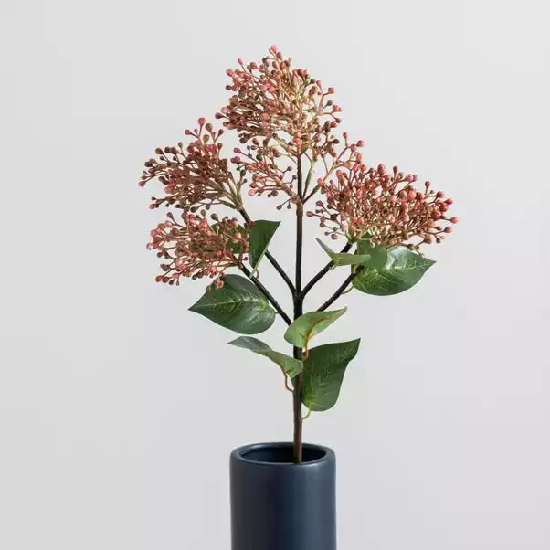 Dunelm Pink Flowering Laurel 4 Dunelm Pink Flowering Laurel - Image 4