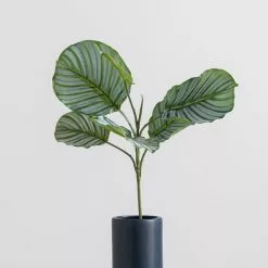 Dunelm Artificial Calathea Stem -clocks Sales Store 30749027 alt03