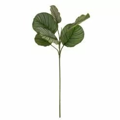Dunelm Artificial Calathea Stem -clocks Sales Store 30749027 alt04
