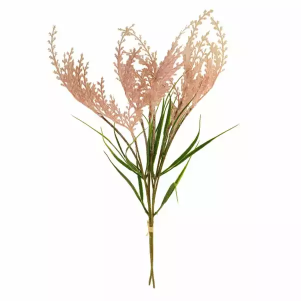 Dunelm Pink Seeding Grass Bundle 3 Dunelm Pink Seeding Grass Bundle - Image 3