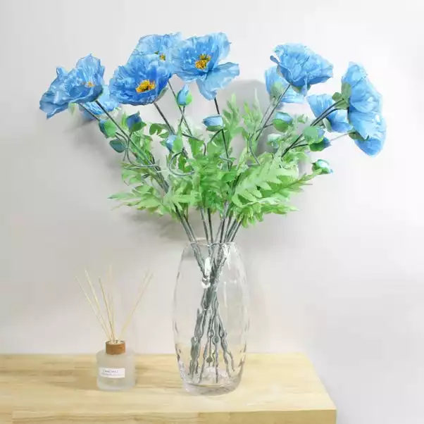 Dunelm Icelandic Blue Poppy Belle 70cm 1 Dunelm Icelandic Blue Poppy Belle 70cm