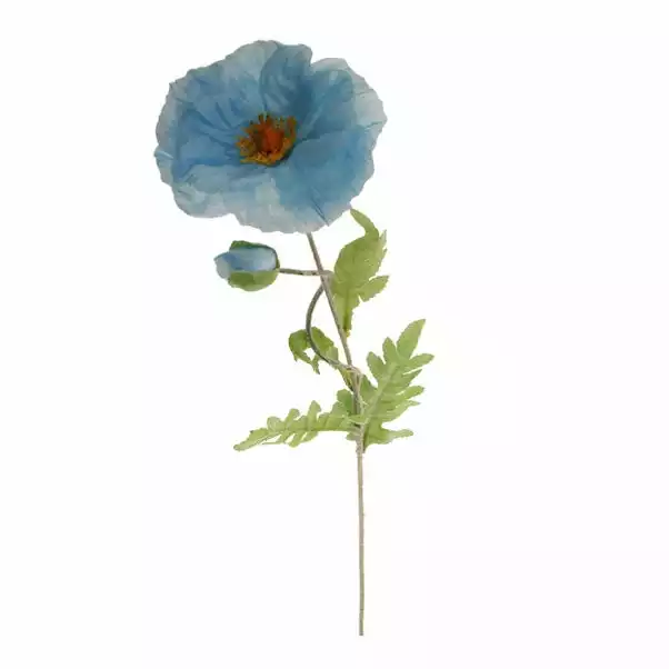 Dunelm Icelandic Blue Poppy Belle 70cm 5 Dunelm Icelandic Blue Poppy Belle 70cm - Image 5