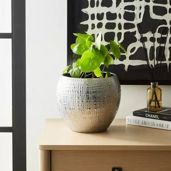 Dunelm Silver Romano Plant Pot 22cm 1 Dunelm Silver Romano Plant Pot 22cm