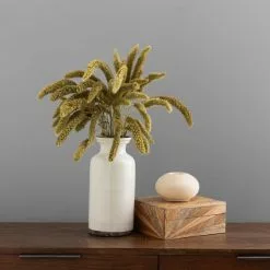 Dunelm Dried Setaria Macrostachia 50cm Natural Bundle