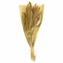 Dunelm Dried Setaria Macrostachia 50cm Natural Bundle -clocks Sales Store 30751160 alt04