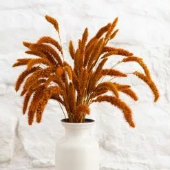 Dunelm Dried 55cm Orange Setaria Macrostachia Bundle -clocks Sales Store 30751171 alt04