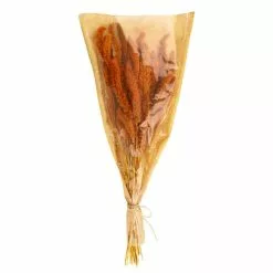 Dunelm Dried 55cm Orange Setaria Macrostachia Bundle -clocks Sales Store 30751171 alt05