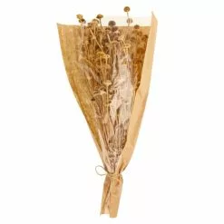 Dunelm Dried Natural Wild Daisy Bundle -clocks Sales Store 30751174 alt05