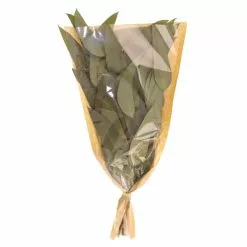 Dunelm Preserved Eucalyptus Bundle