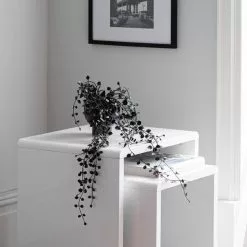 Dunelm Artificial Trailing Black Plant In Footed Pot