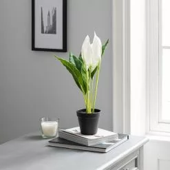 Dunelm Artificial Peace Lily In Black Pot 50cm