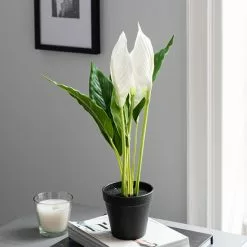 Dunelm Artificial Peace Lily In Black Pot 50cm -clocks Sales Store 30752426 alt02
